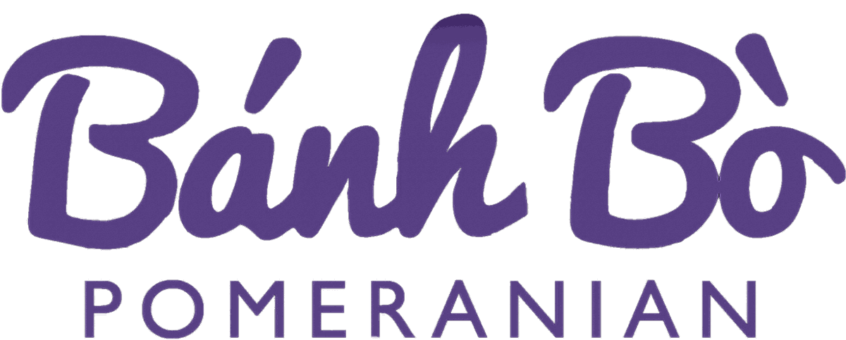 Logo Bánh Bò Pomeranian – phối giống chó phốc sóc